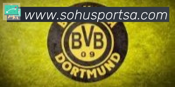 搜狐体育合作伙伴