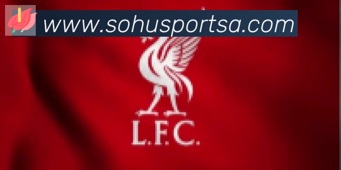 搜狐体育合作伙伴