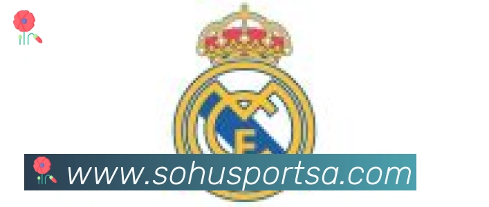 搜狐体育合作伙伴