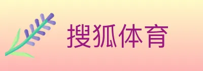 搜狐体育 logo